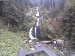 Archiv Foto Webcam Triberg Wasserfall 05:00