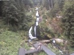 Archiv Foto Webcam Triberg Wasserfall 09:00