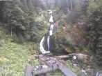 Archiv Foto Webcam Triberg Wasserfall 11:00