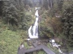 Archiv Foto Webcam Triberg Wasserfall 09:00