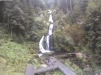 Archived image Webcam Waterfall in Triberg 09:00