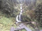 Archived image Webcam Waterfall in Triberg 11:00