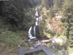 Archiv Foto Webcam Triberg Wasserfall 09:00