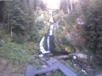 Archived image Webcam Waterfall in Triberg 05:00