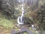 Archived image Webcam Waterfall in Triberg 06:00