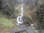 Archived image Webcam Waterfall in Triberg 07:00