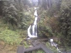 Archived image Webcam Waterfall in Triberg 09:00