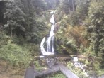 Archived image Webcam Waterfall in Triberg 11:00