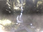 Archived image Webcam Waterfall in Triberg 15:00