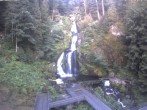 Archived image Webcam Waterfall in Triberg 06:00