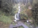 Archived image Webcam Waterfall in Triberg 07:00