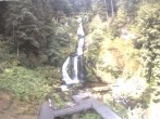 Archived image Webcam Waterfall in Triberg 09:00