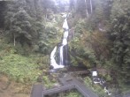 Archived image Webcam Waterfall in Triberg 11:00