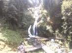 Archived image Webcam Waterfall in Triberg 13:00