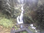 Archived image Webcam Waterfall in Triberg 15:00