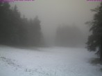Archived image Webcam Großer Inselsberg Ski Resort 07:00