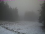 Archived image Webcam Großer Inselsberg Ski Resort 09:00