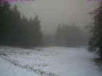 Archived image Webcam Großer Inselsberg Ski Resort 11:00