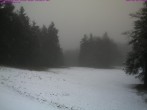 Archiv Foto Webcam Großer Inselsberg 13:00