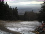 Archiv Foto Webcam Großer Inselsberg 11:00