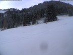 Archiv Foto Webcam Moléson-Wiese 07:00