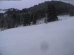 Archiv Foto Webcam Moléson-Wiese 09:00