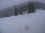 Archiv Foto Webcam Moléson-Wiese 11:00