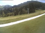 Archiv Foto Webcam Moléson-Wiese 13:00