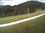 Archiv Foto Webcam Moléson-Wiese 19:00