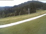 Archiv Foto Webcam Moléson-Wiese 11:00