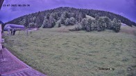 Archived image Webcam Balderschwang: Schelpenalp Restaurant 00:00