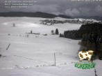 Archived image Webcam From Eckerhof/Hinterdorf to Breitnau 13:00