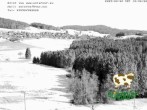 Archived image Webcam From Eckerhof/Hinterdorf to Breitnau 11:00