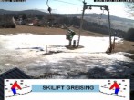 Archived image Webcam ski run Greising/ Bayerischer Wald 11:00