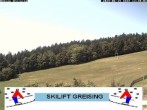 Archiv Foto Webcam Skipiste Greising/ Bayerischer Wald 11:00