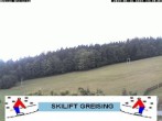 Archived image Webcam ski run Greising/ Bayerischer Wald 13:00