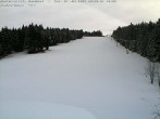 Archiv Foto Webcam Bühlertallift Hundseck Blick auf die Piste 08:00