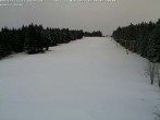 Archiv Foto Webcam Bühlertallift Hundseck Blick auf die Piste 11:00