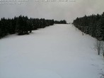 Archiv Foto Webcam Bühlertallift Hundseck Blick auf die Piste 13:00