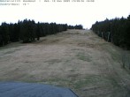 Archived image Webcam Bühlertallift Hundseck - Slope View 13:00