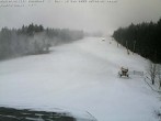 Archiv Foto Webcam Bühlertallift Hundseck Blick auf die Piste 08:00