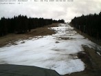 Archiv Foto Webcam Bühlertallift Hundseck Blick auf die Piste 07:00