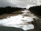 Archiv Foto Webcam Bühlertallift Hundseck Blick auf die Piste 13:00