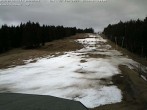 Archiv Foto Webcam Bühlertallift Hundseck Blick auf die Piste 15:00