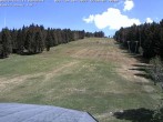 Archiv Foto Webcam Bühlertallift Hundseck Blick auf die Piste 11:00