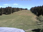 Archiv Foto Webcam Bühlertallift Hundseck Blick auf die Piste 12:00