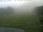 Archiv Foto Webcam Bühlertallift Hundseck Blick auf die Piste 19:00