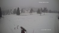 Archived image Webcam Skilift Mühlleiten 13:00