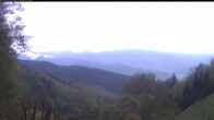 Archived image Webcam View to the Feldberg from Klausenhof 05:00