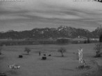 Archived image Webcam Salenberghof, Lake Forggensee 03:00